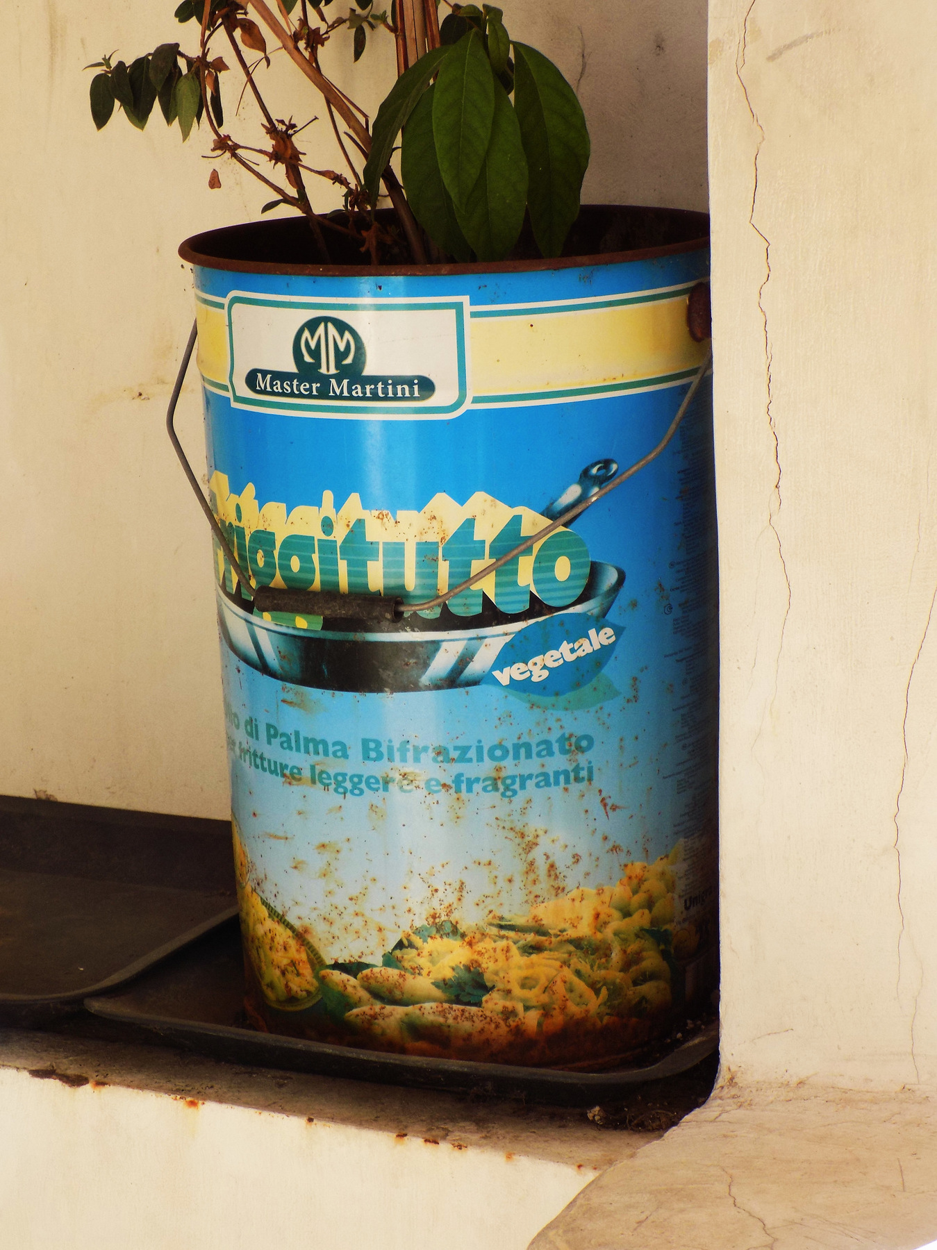 studio svart ateljé vit - Plant in tin dunk for frying oil