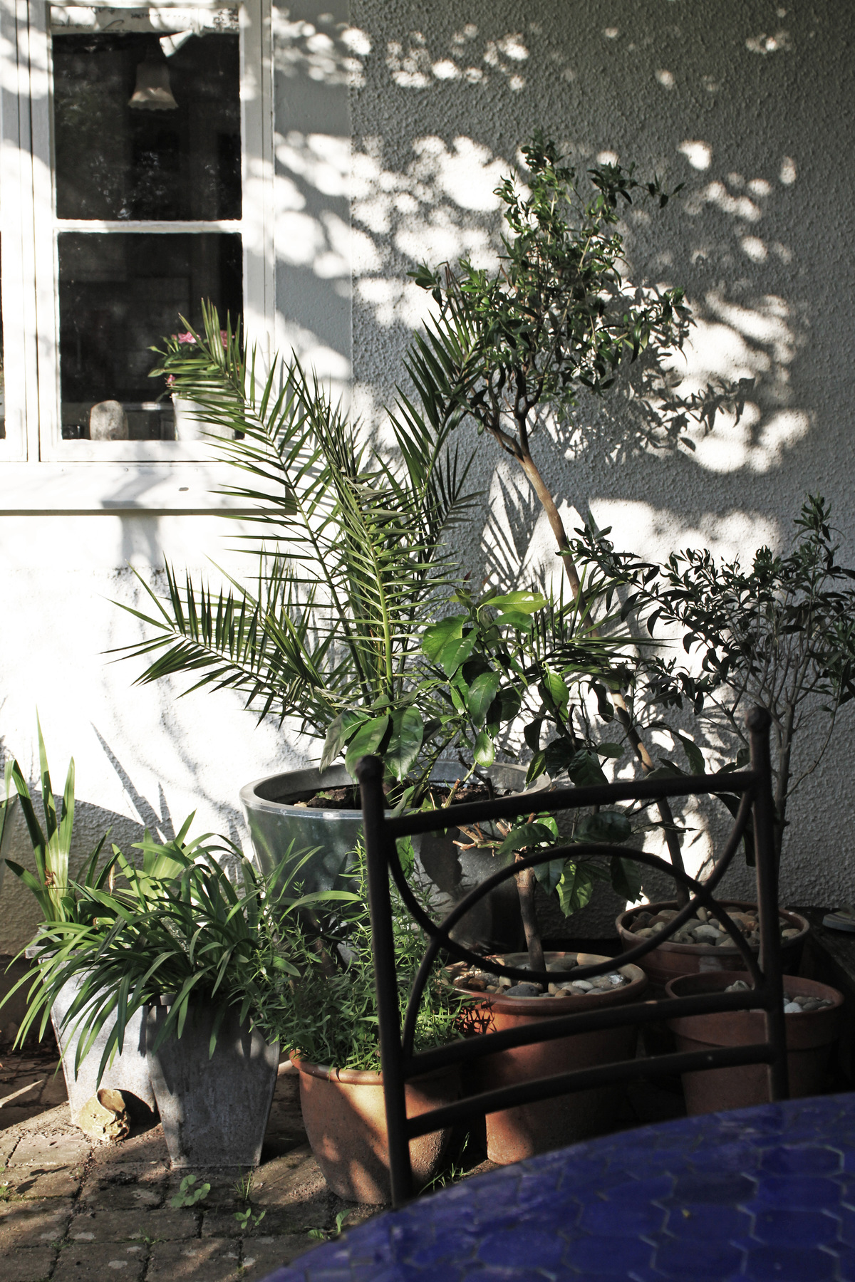 studio svart ateljé vit - Our own patio