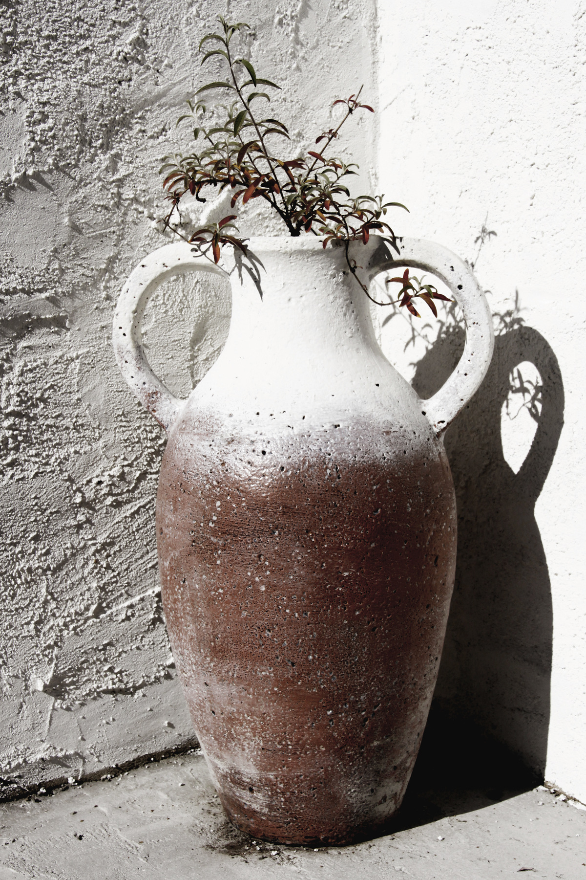 studio svart ateljé vit - Amphora in own garden