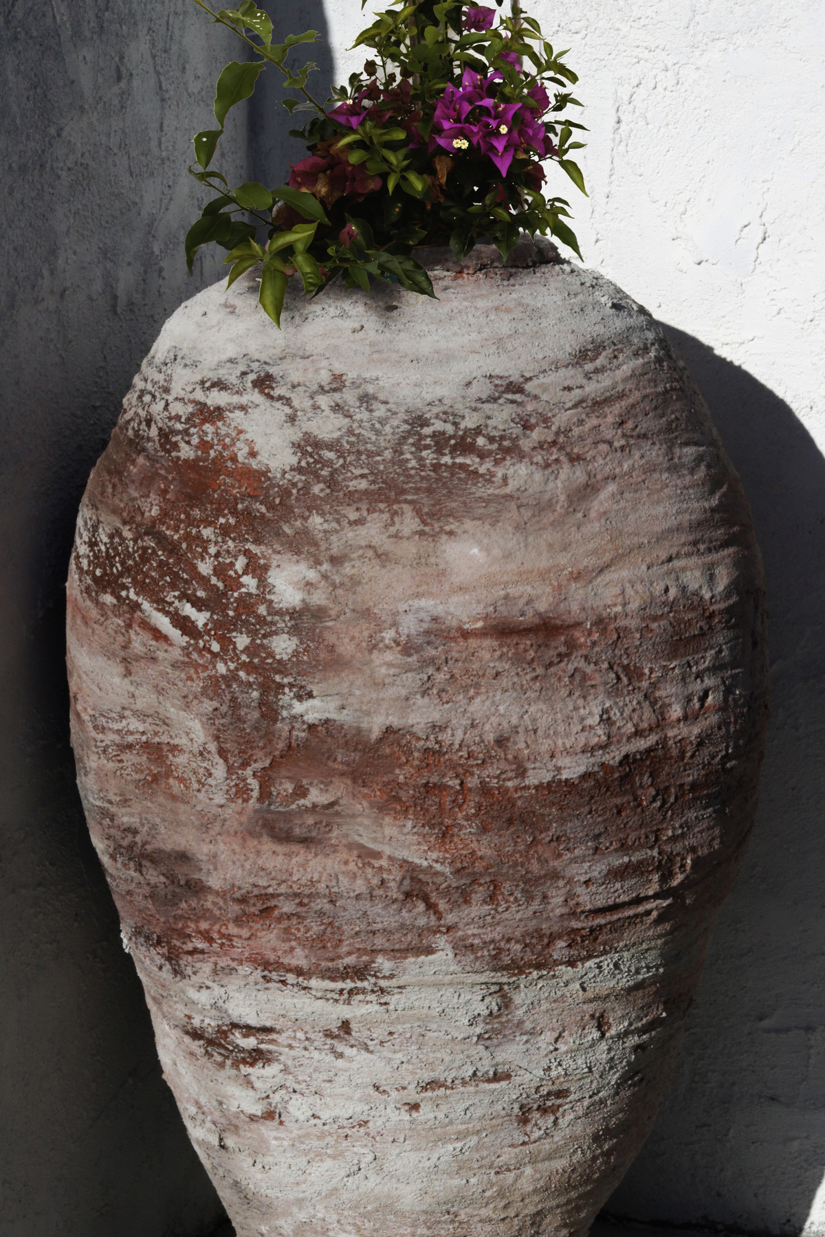 studio svart ateljé vit - The large urn in the home garden