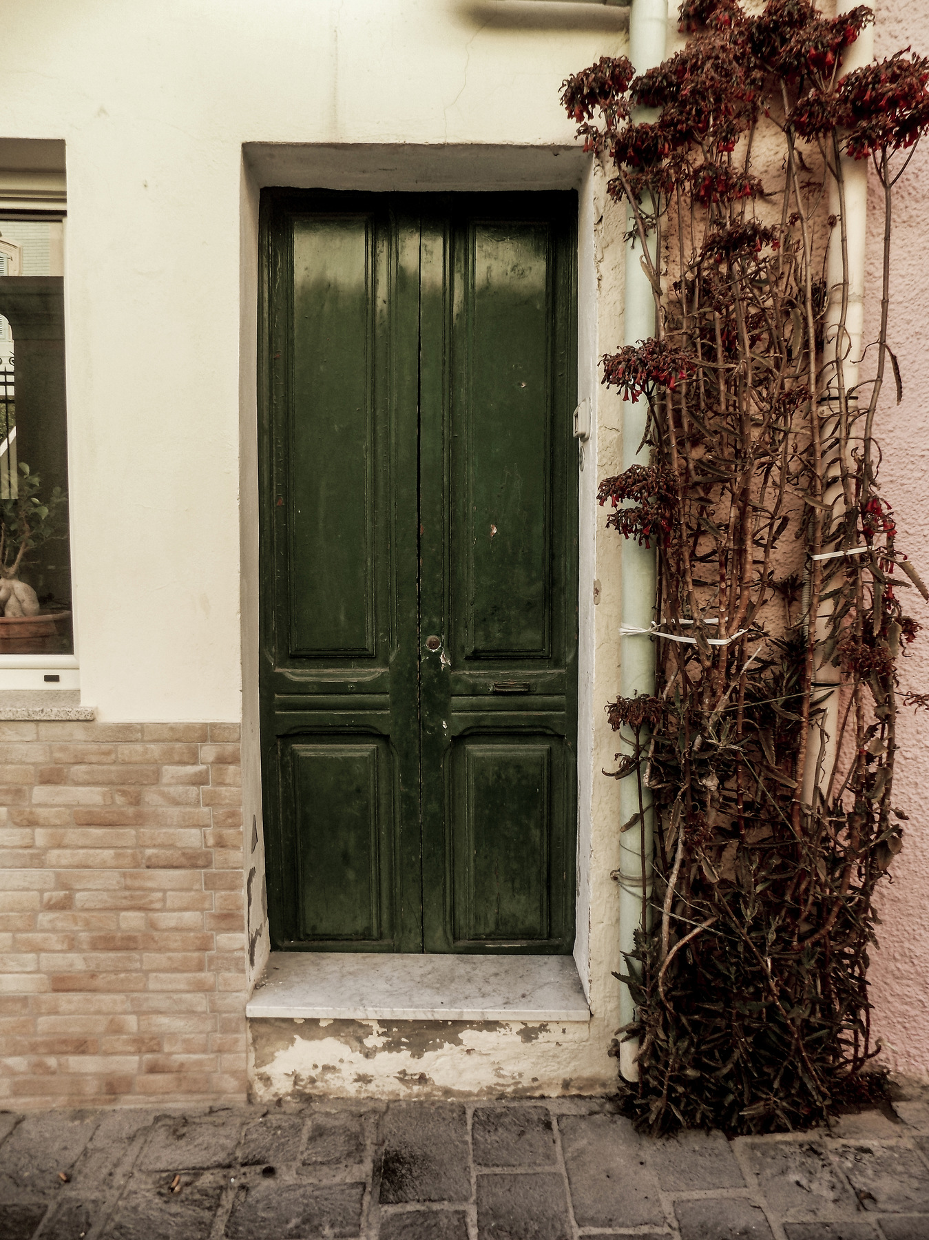 studio svart ateljé vit - A green door at San Pietro