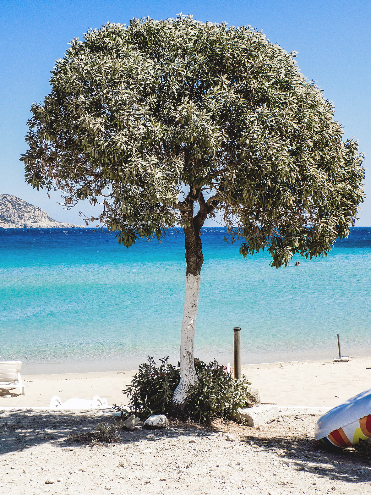 studio svart ateljé vit - Olive tree by the beach, Karpathos