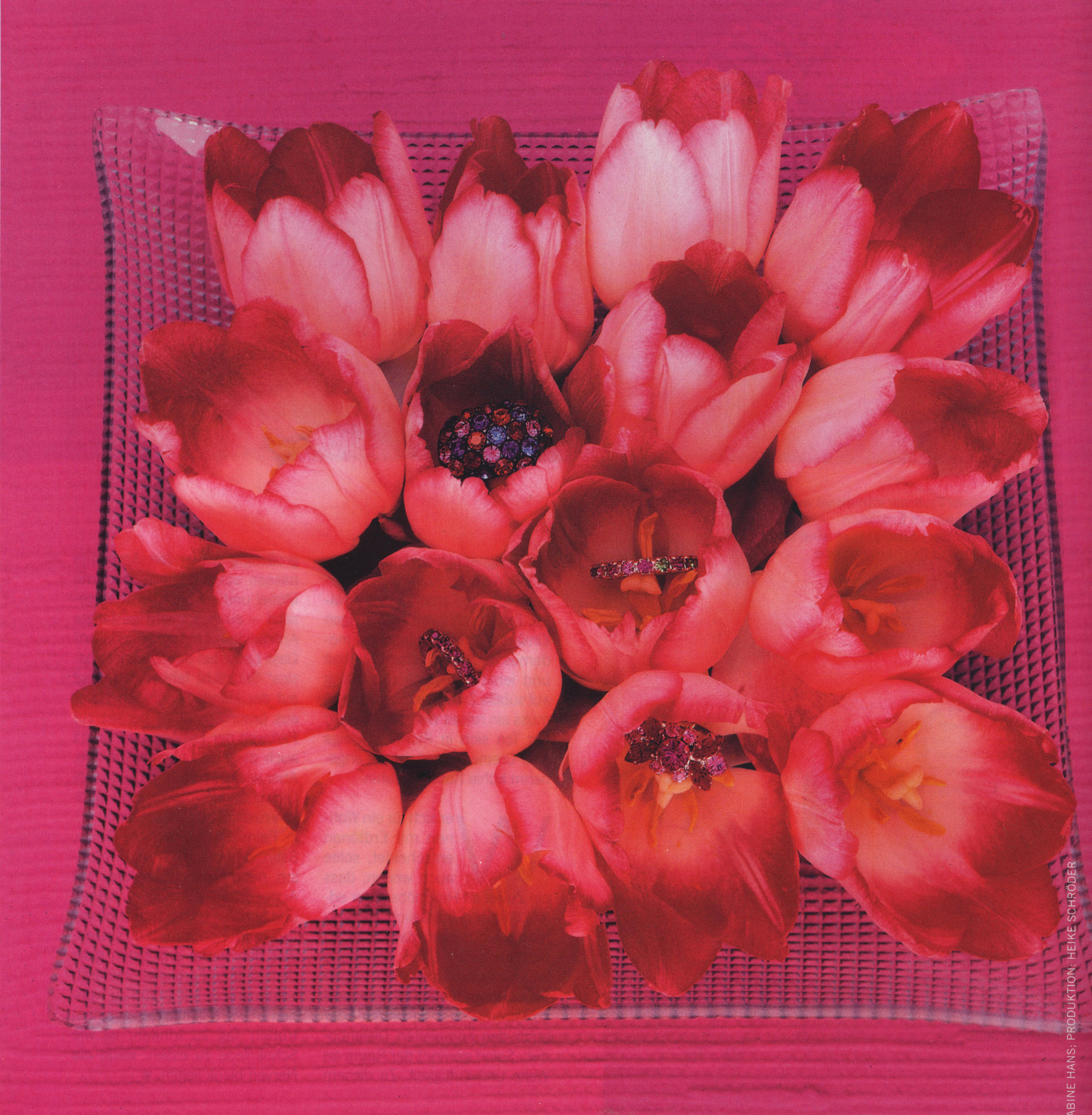 heikeschroeder.com - 