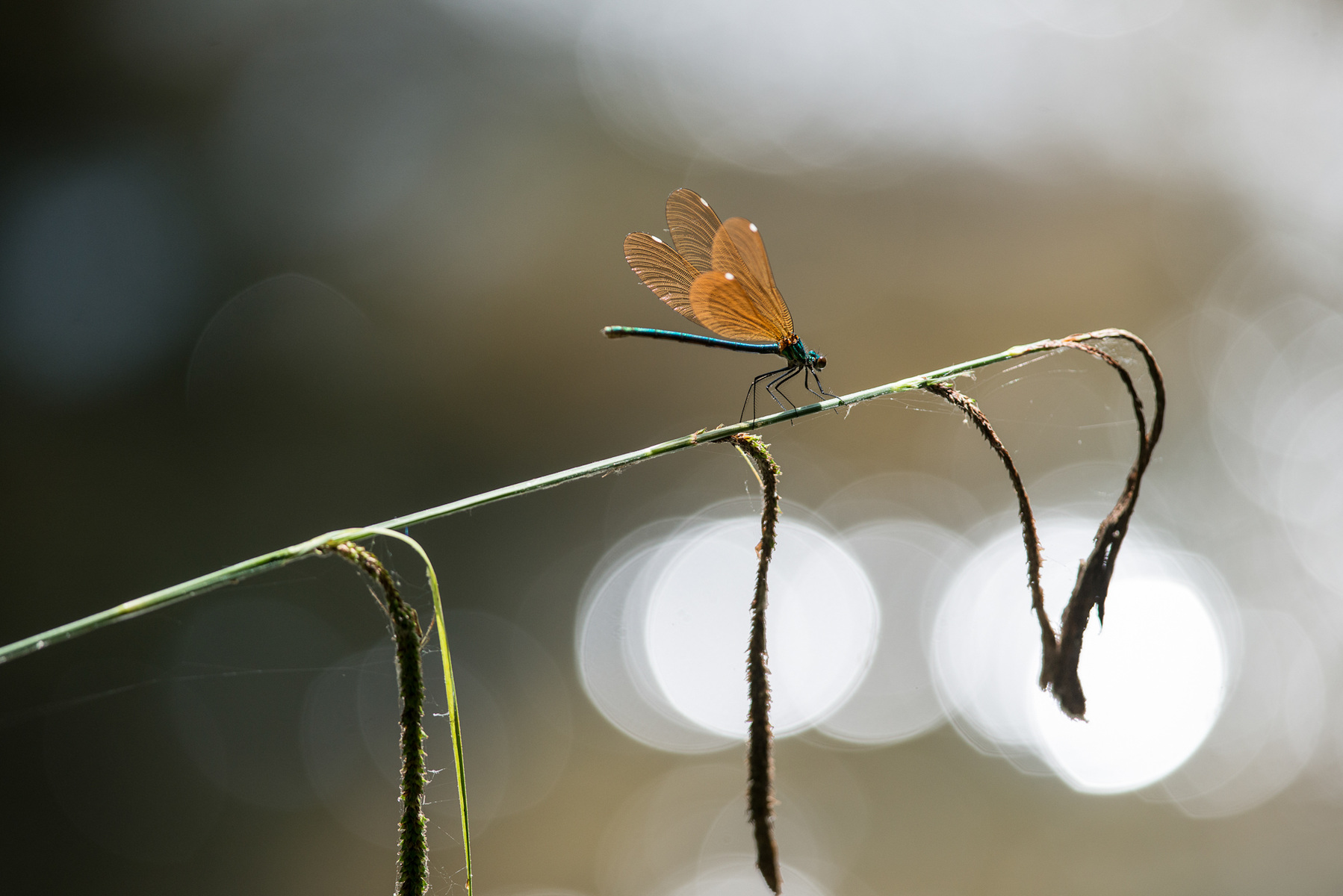 Fabien Delairon photographe en Architecture - 