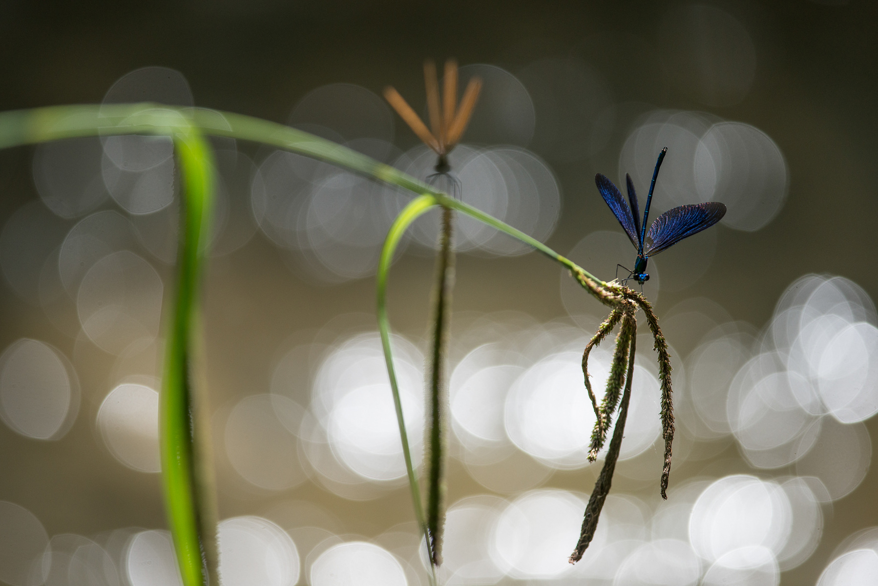 Fabien Delairon photographe en Architecture - 