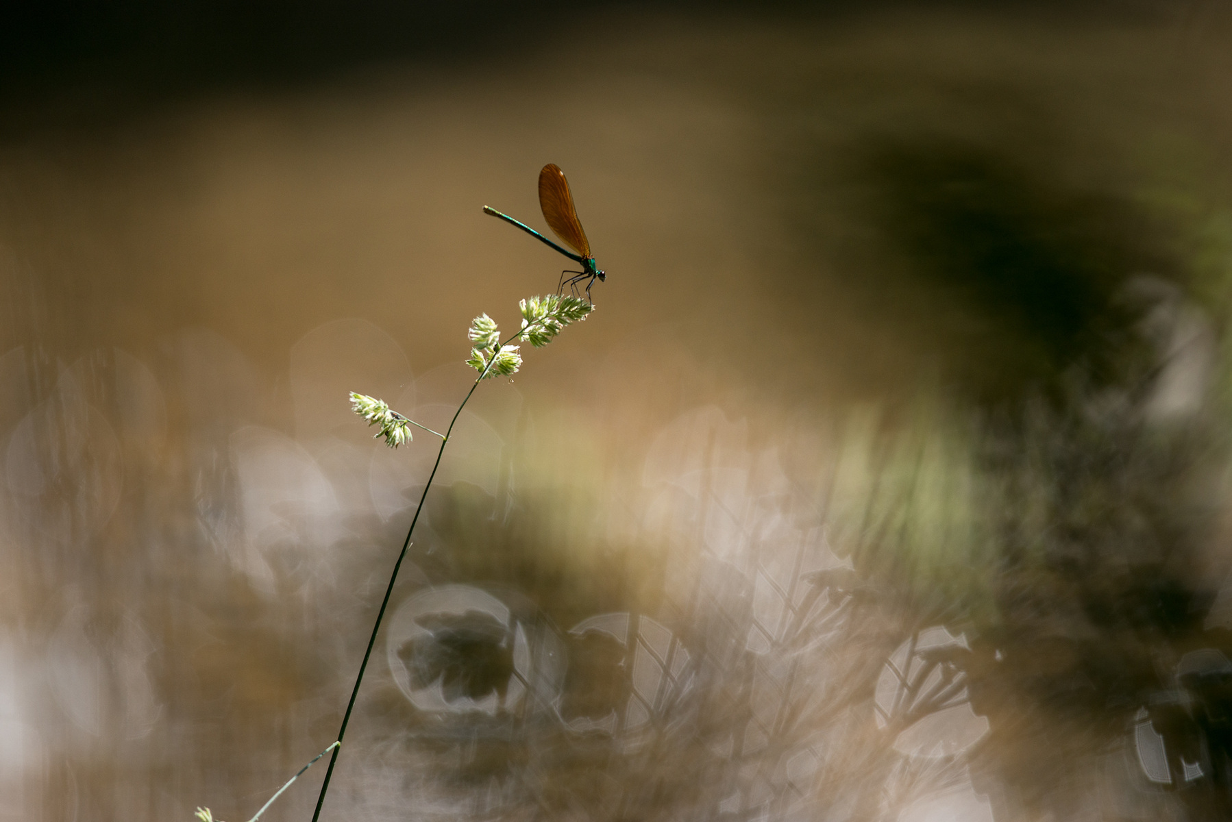 Fabien Delairon photographe en Architecture - 
