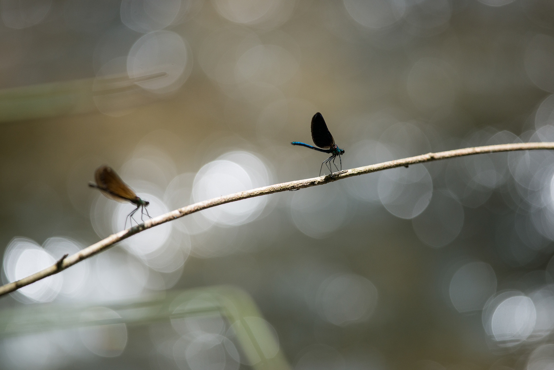 Fabien Delairon photographe en Architecture - 