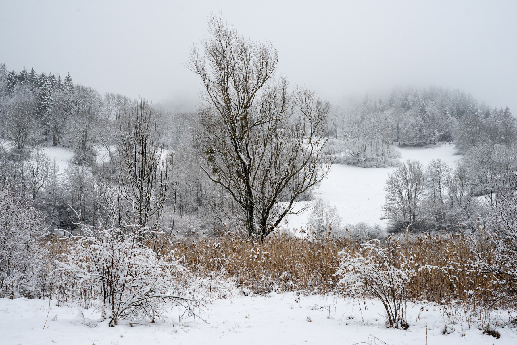 Fabien Delairon photographe en Architecture - 
