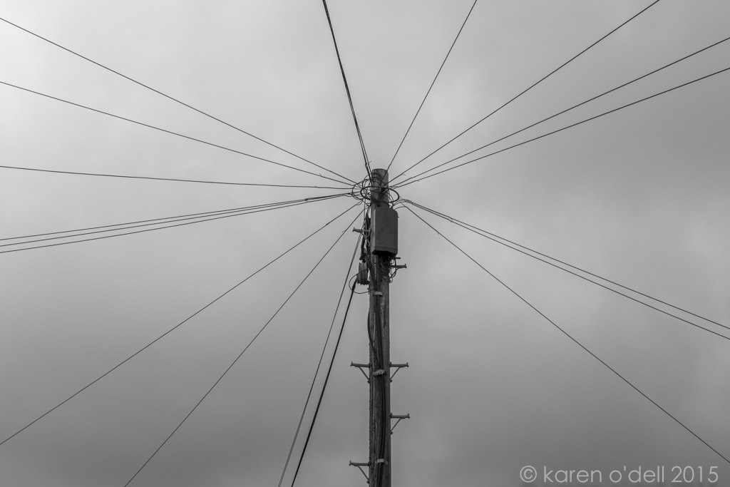 karenodellphotography -