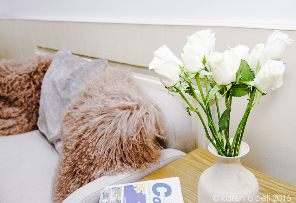 karenodellphotography -