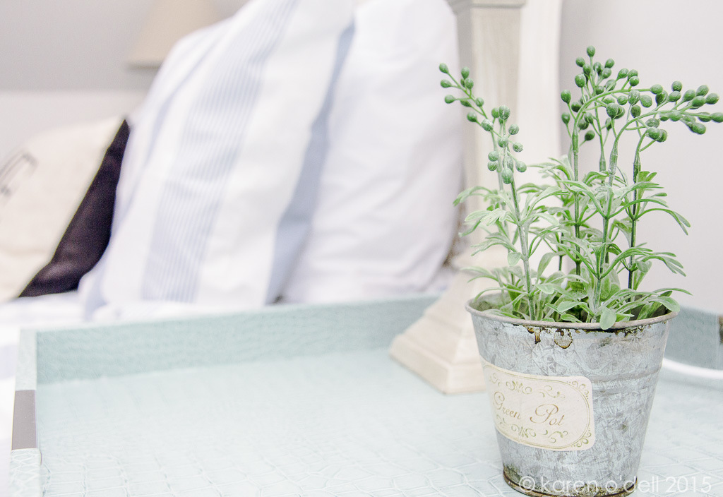 karenodellphotography -