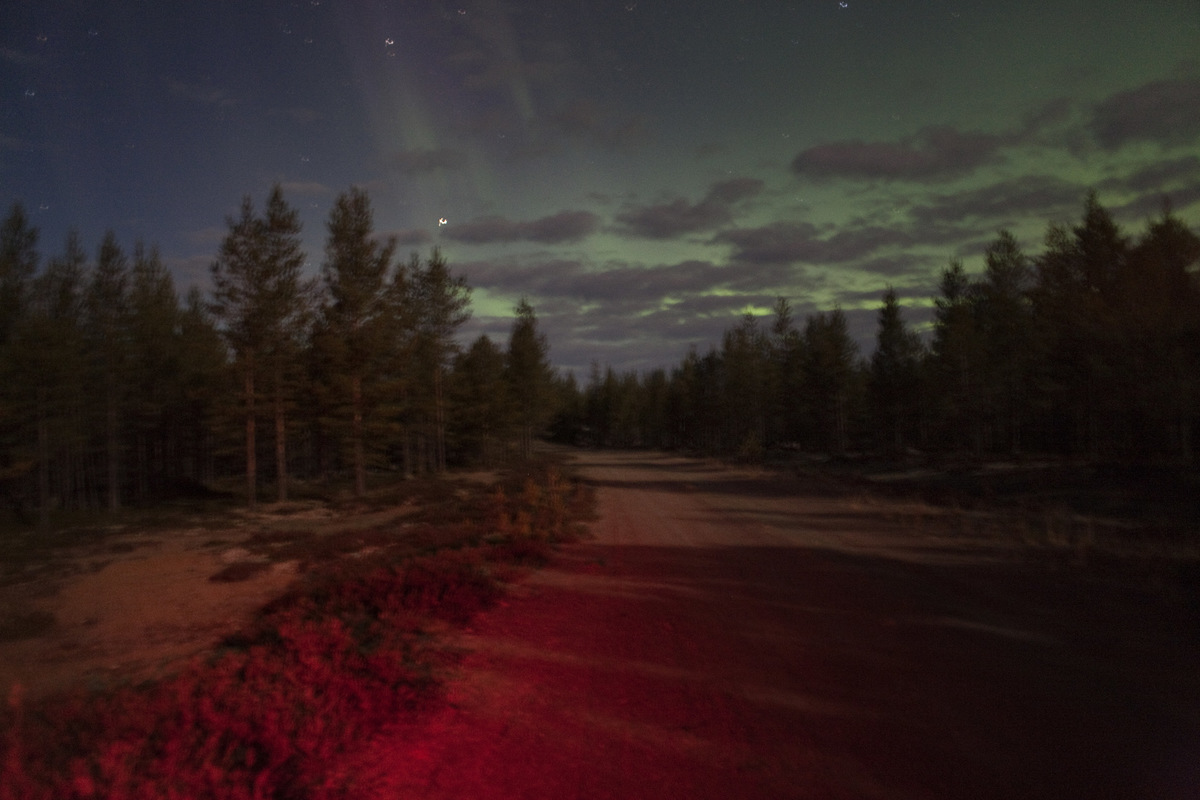 Izabelle Nordfjell - Fotograf Örnsköldsvik, Ångermanland, Höga Kusten - 