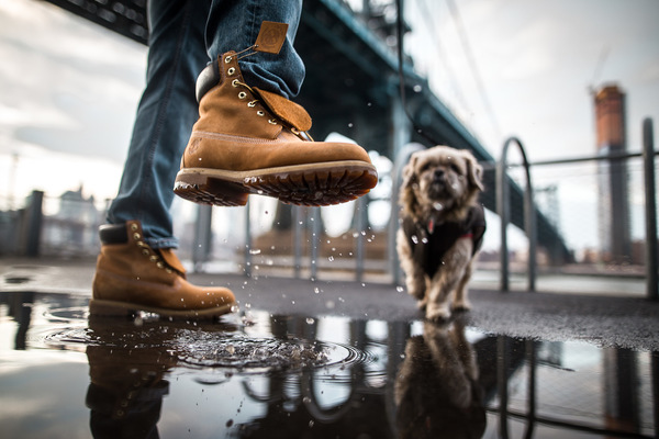 David Wallace Shoots Photographer -
