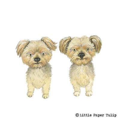 Little Paper Tulip - Kat owns a coffee shop and wanted a portrait framed to remind her of her two lovely dogs at home, Teddy and Sollie.