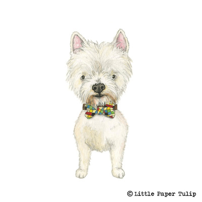 Little Paper Tulip - This is Archie modelling his lovely check bow tie for Kirsty, so adorable!