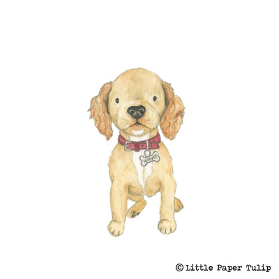 Little Paper Tulip - This mega cute mischievous puppy is called Harvey for Emily.
