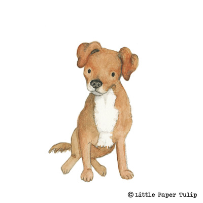Little Paper Tulip - This is the gorgeous Dot, looking very adorable for Natalie.