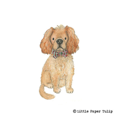 Little Paper Tulip - Kate wanted to surprise her Boyfriend with a portrait of their gorgeous dog Bertie.