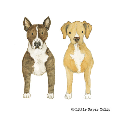 Little Paper Tulip - Here is a portrait of Hugo and Mac that I painted for Sam and Rom. They both own a dog friendly B & B in North Wales. Check it out: https://www.airbnb.co.uk/rooms/11195097?_branch_match_id=460868463145648292&photo=0&ref_device_id=bd3ddf442dd0a0bd98dd97c67751444b88726c42&s=41&user_id=58290290