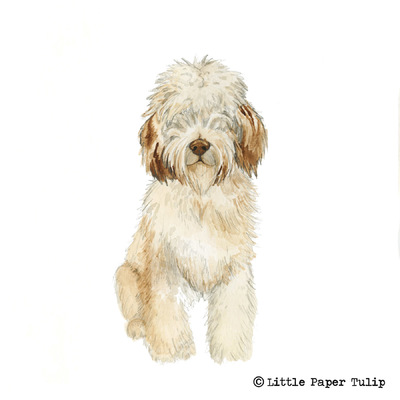 Little Paper Tulip - Sophie wanted to surprise her Dad with a portrait of their gorgeous dog Chester.