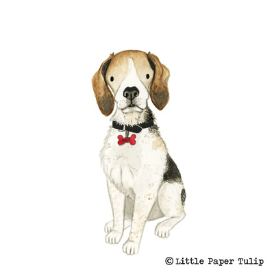 Little Paper Tulip - This is the handsome Hugo painted for Elaine in Canada.
