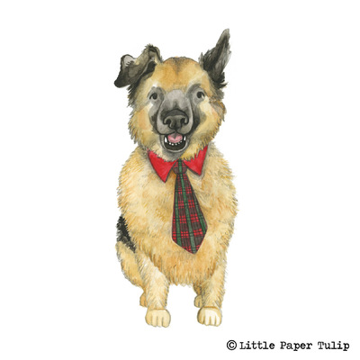 Little Paper Tulip - How adorable is Parker in his tie? Parker was really poorly earlier this year with GDV, and if it wasnt for an emergency vet he would of died. Luckily he is back to good health now, thank goodness! This was painted for Amanda, she wanted to capture his character.