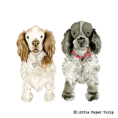 Little Paper Tulip - Meg & Mattie are a gorgeous pair, painted for Tim and Jane.