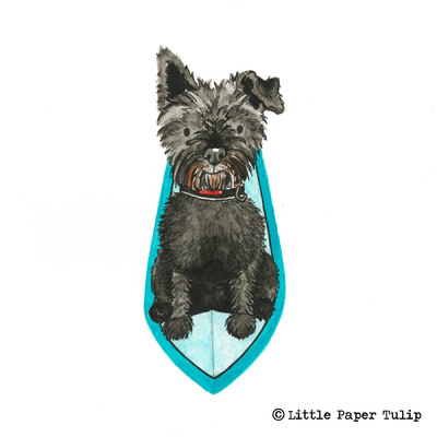 Little Paper Tulip - How pawsome is Archie paddle boarding in St Ives?