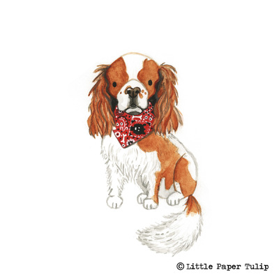 Little Paper Tulip - This is the adorable Teddy, painted for Carol. How cute is his bandana?