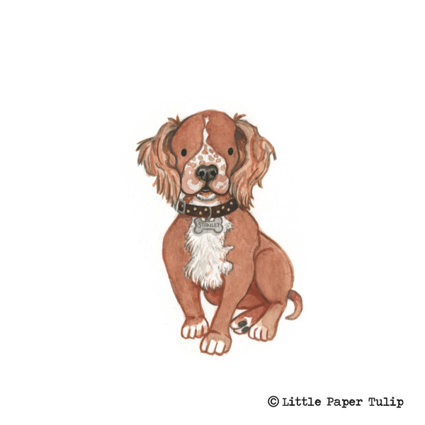 Little Paper Tulip -