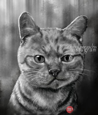 Create and Grow-Portfolio - Tricky smile-2015