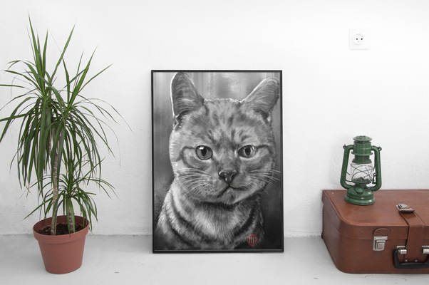 Create and Grow-Portfolio -