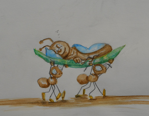 Create and Grow-Portfolio - Ants punished.