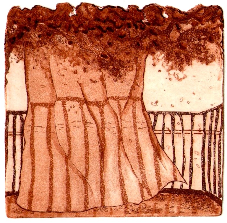 ana neto - Sombra etching, aquatint 10x10 2011 From the artist book Café e Caracol