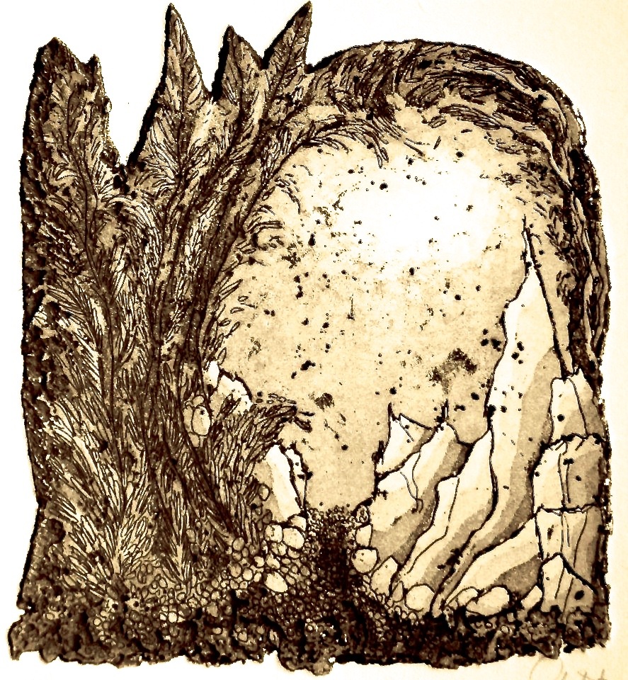 ana neto - Untitled etching, aquatint 10x10cm 2012