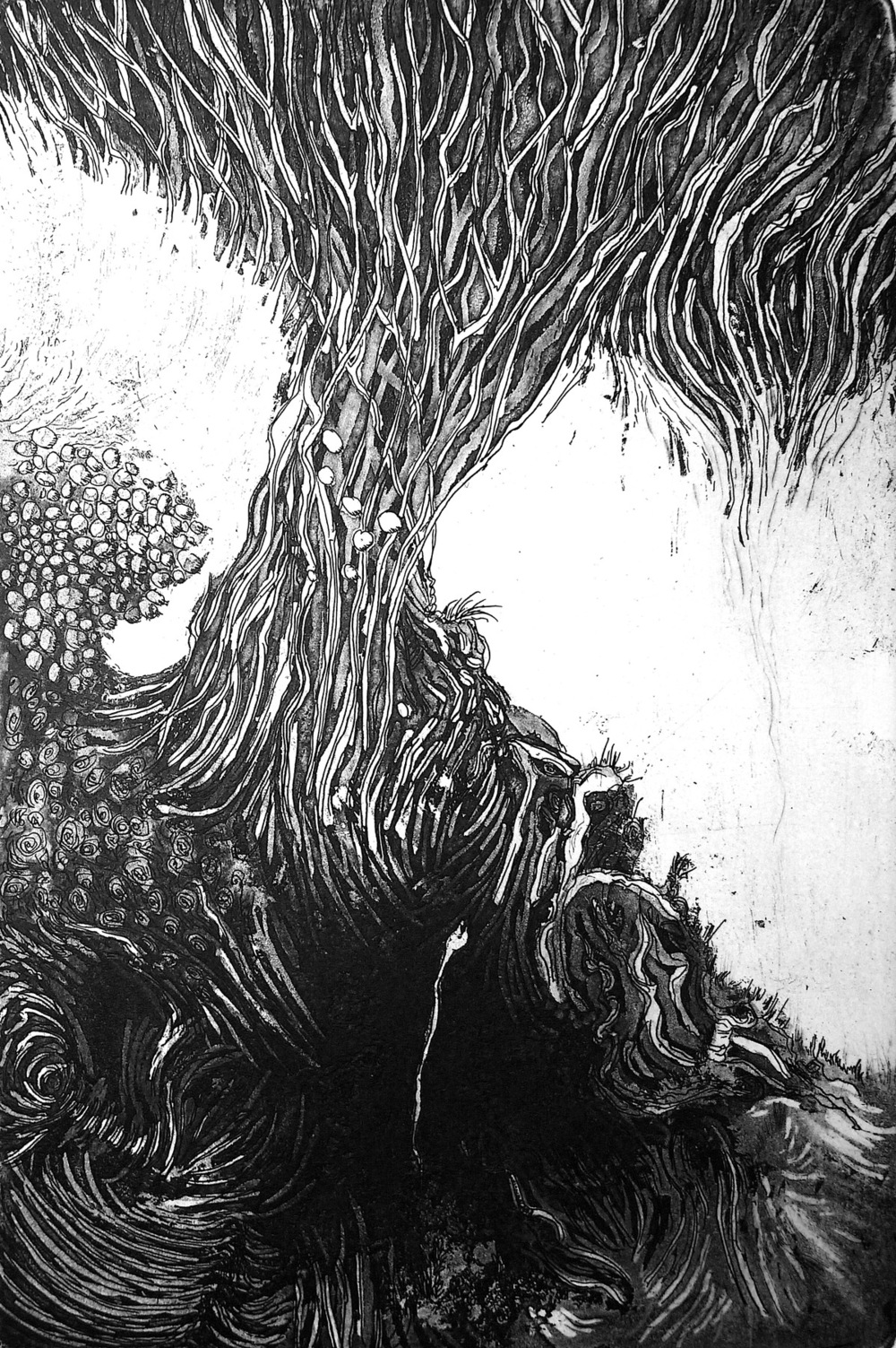 ana neto - Caminho etching, aquatint 15x22,5cm 2010