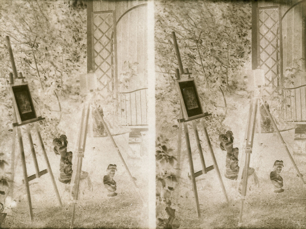 Paper , Shadows and Light. - Elm at Lacock by WH Fox Talbot. Adamsons process Calotype. 45 second exposure. Canson Marker paper.