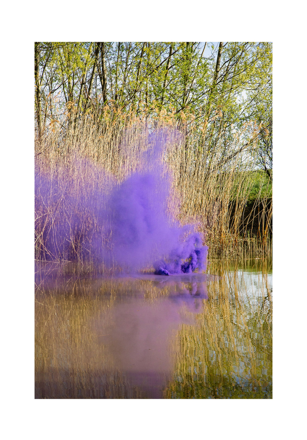 PLACENTIA ARTE - shape p/b pigment print on fine-art Hahnemühle Pearl paper cm. 90x60, 2017