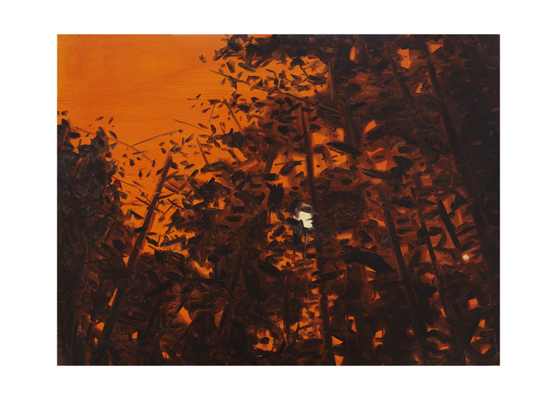 Shaun Morris Painter - The Wind in the Trees