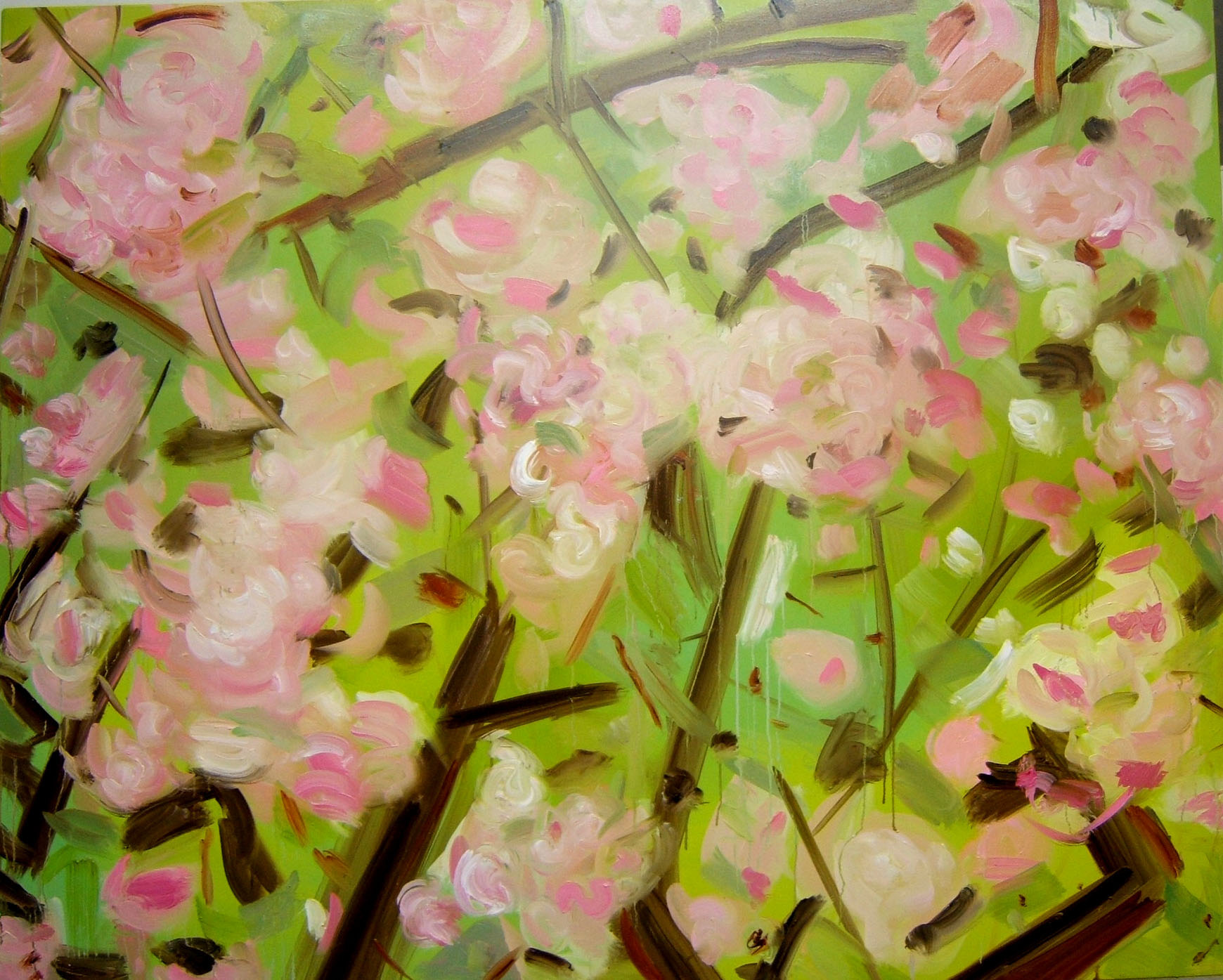Shaun Morris Painter -