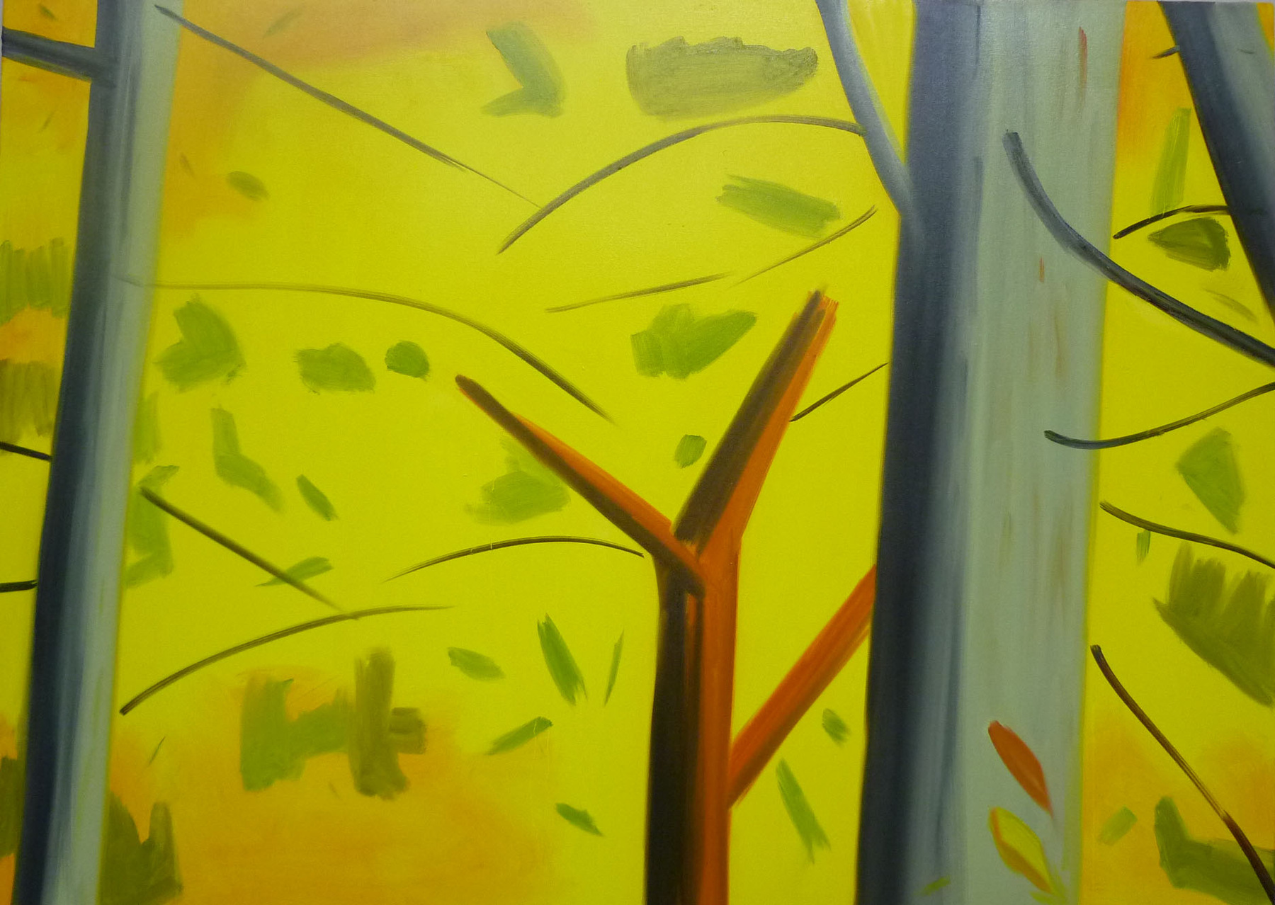 Shaun Morris Painter -