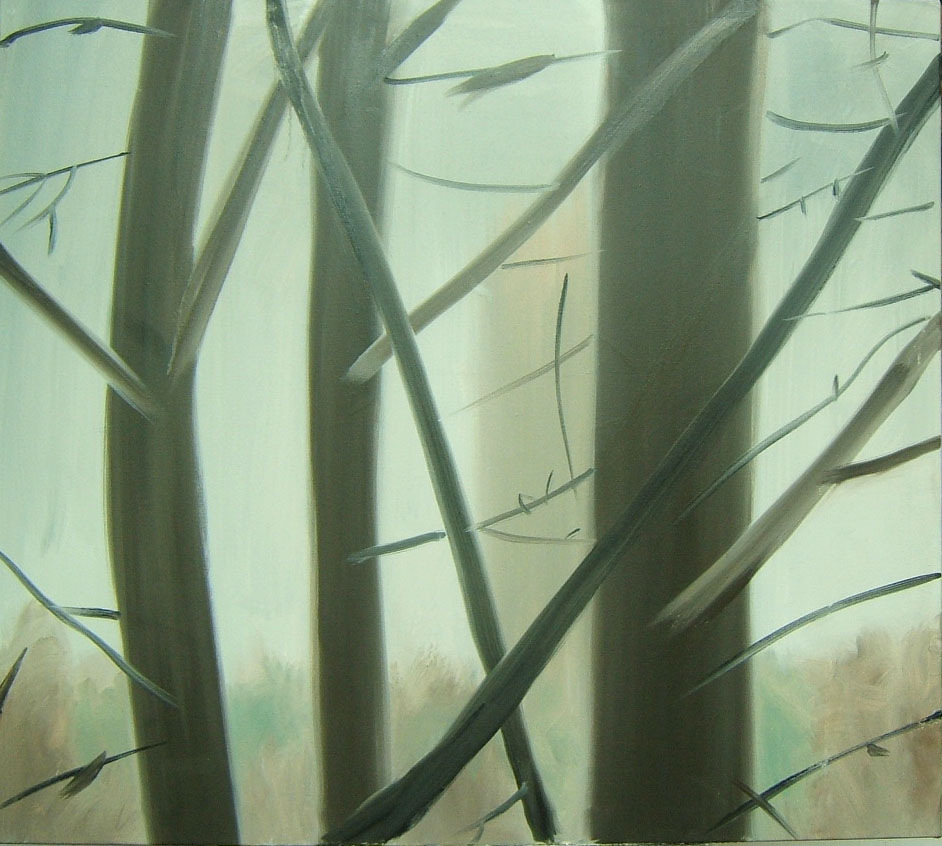 Shaun Morris Painter -