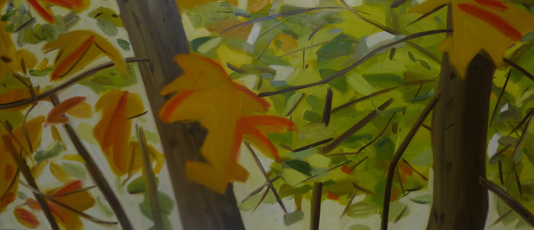 Shaun Morris Painter -