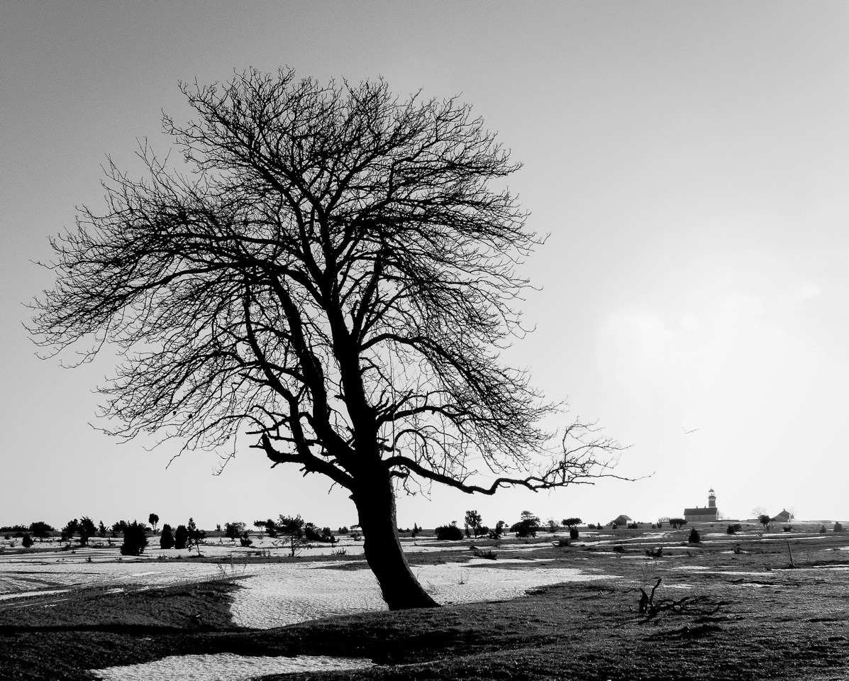 photosbyannika -