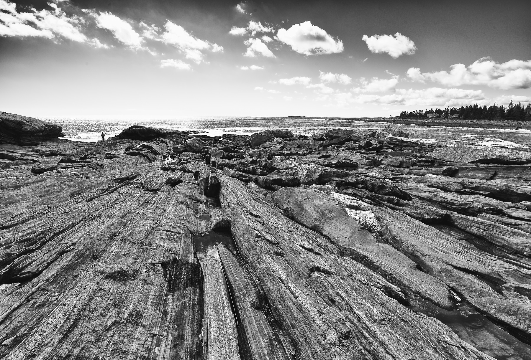 photosbyannika -