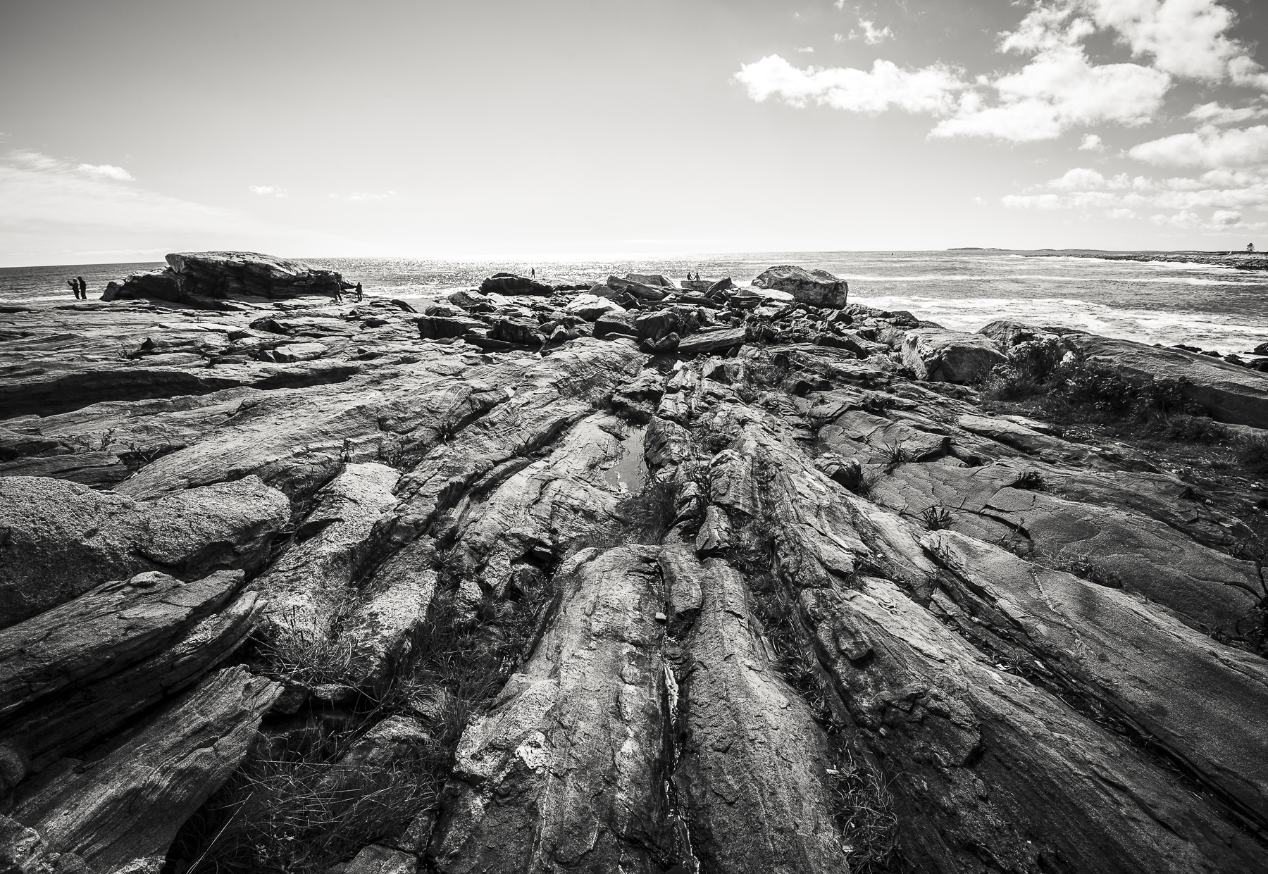 photosbyannika -