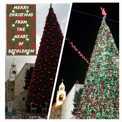 Bethlehem Development Foundation - Christmas 2013