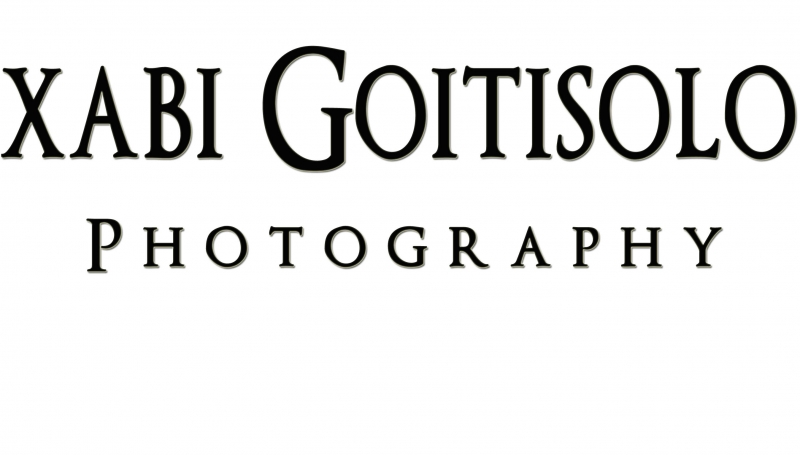 xabi goitisolo