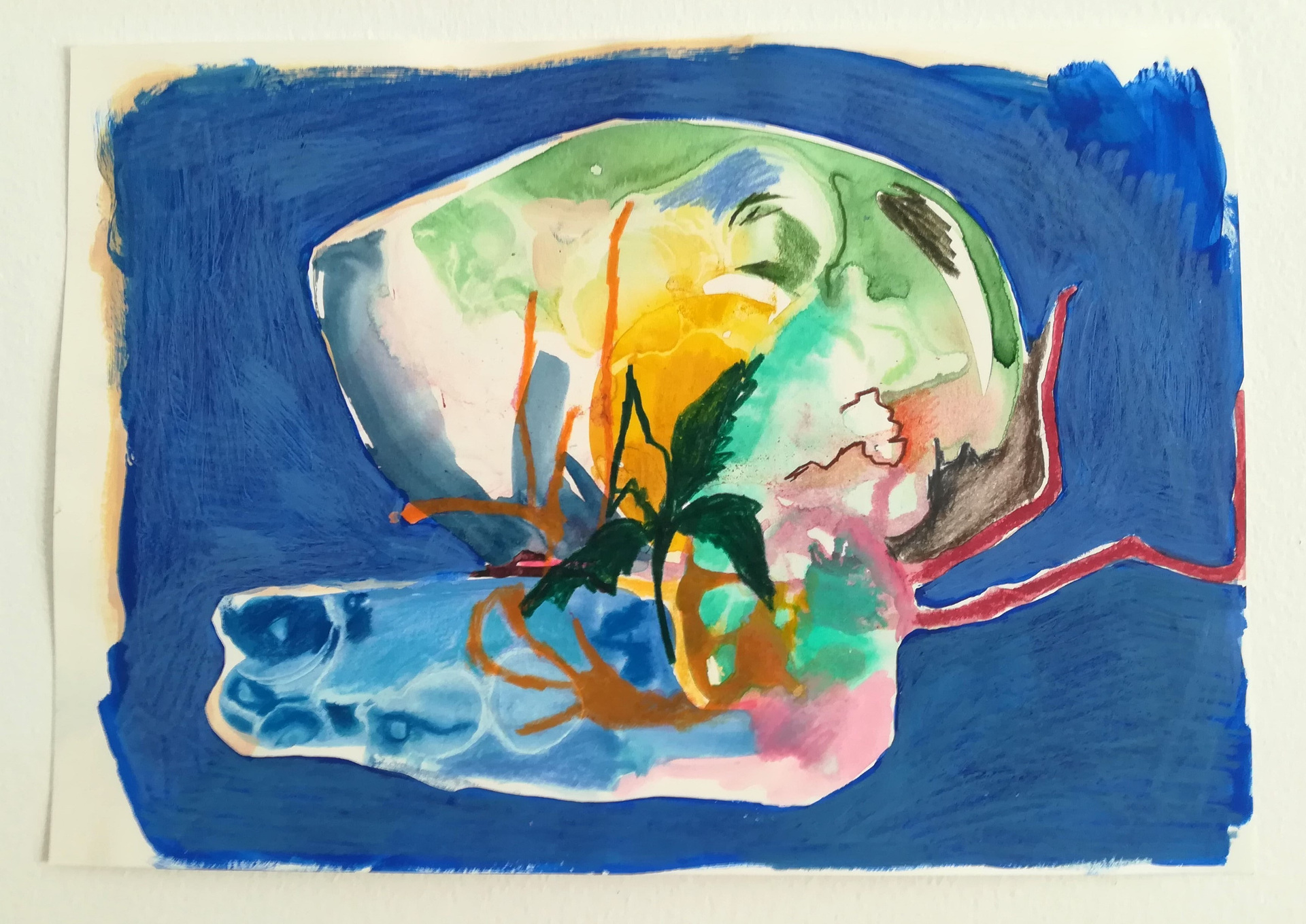 maria condado -