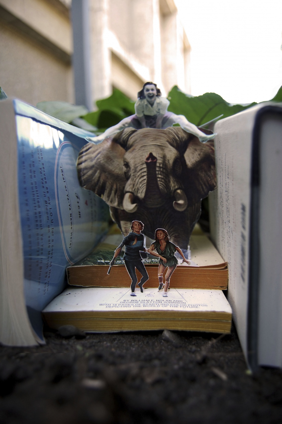 Piper Martz Photography -
